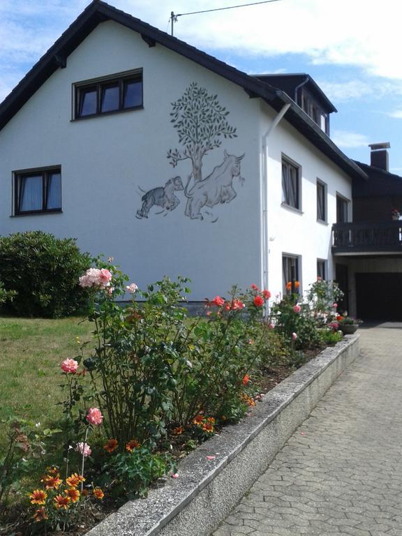 Ferienwohnung Fuelbier Oberzissen المظهر الخارجي الصورة